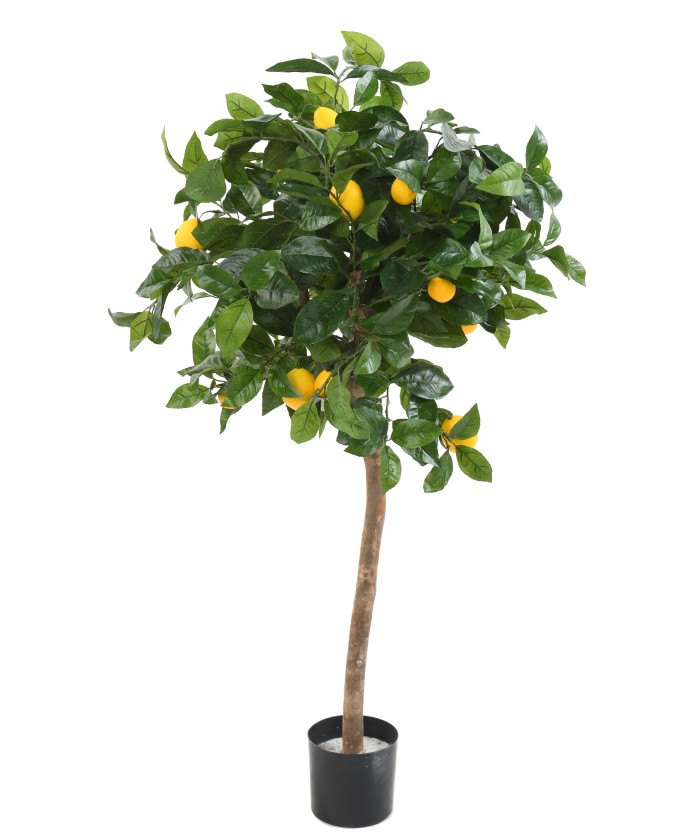 Artificial lemon tree HEAD