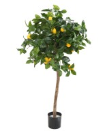 Artificial lemon tree HEAD