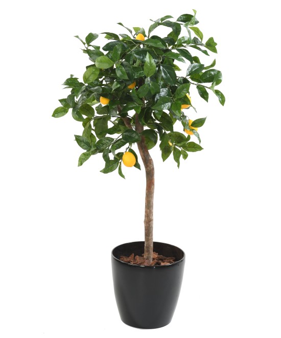 Artificial lemon tree HEAD