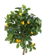 Artificial lemon tree HEAD