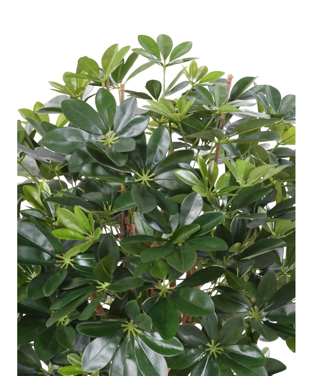 Artificial Schefflera