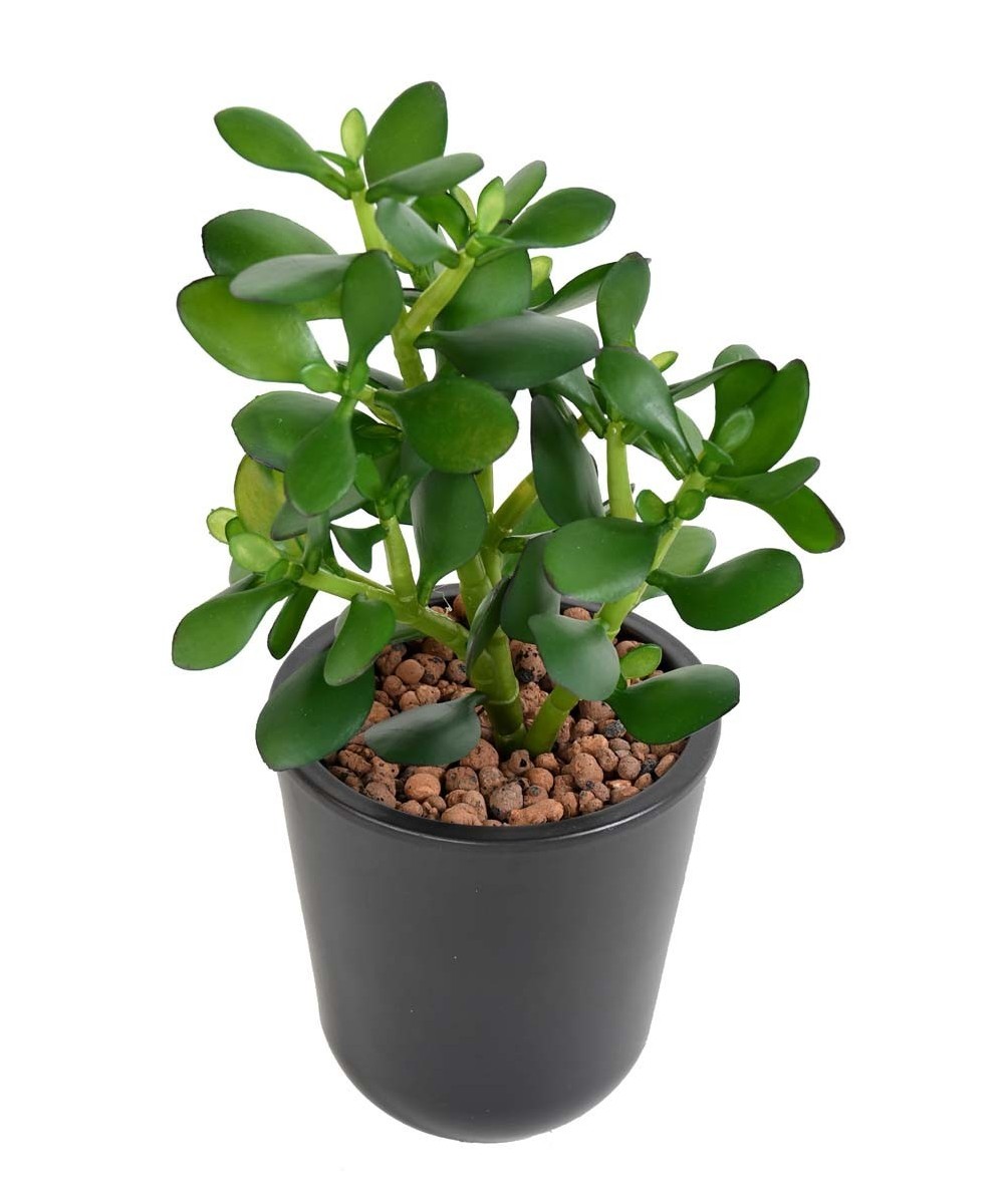 Kunstlik Crassula JADE TAIM