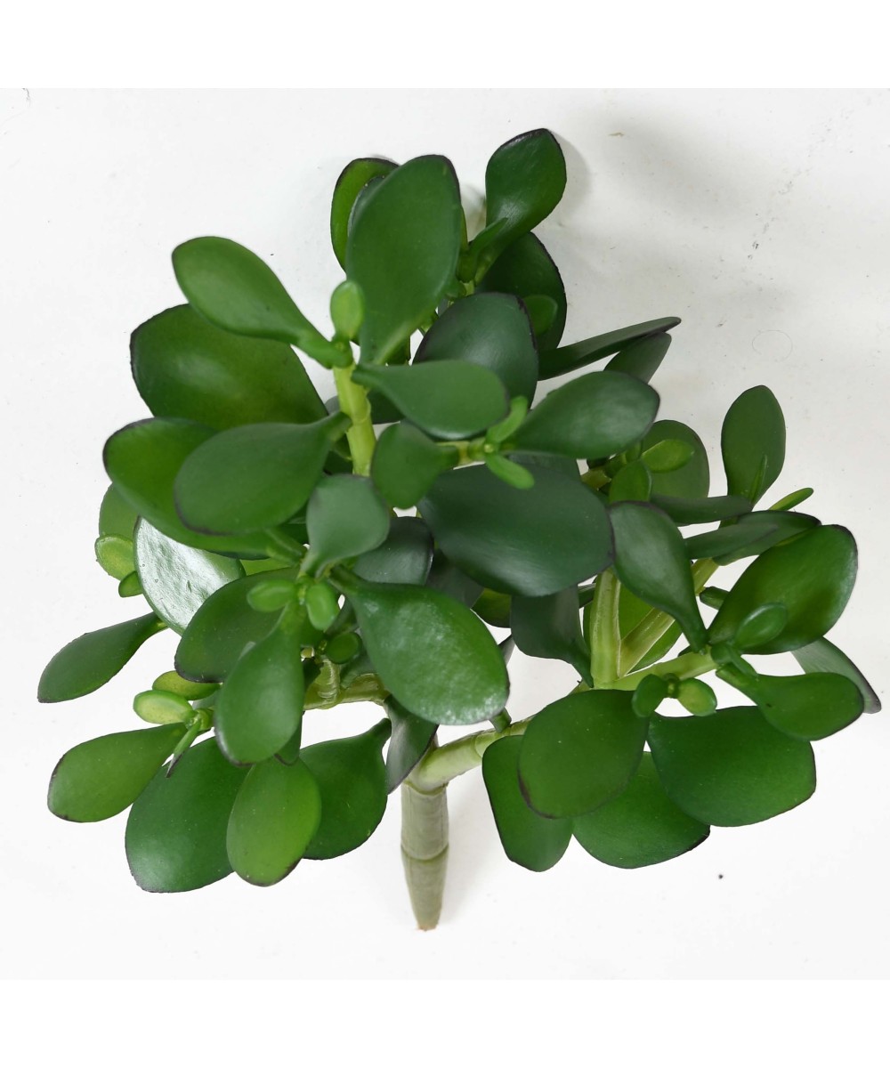Artificial Crassula JADE PLANT