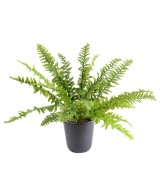 Kunstlik Boston Fern
