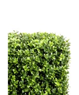 Artificial boxwood HEDGE NEW METAL STRUCTURE