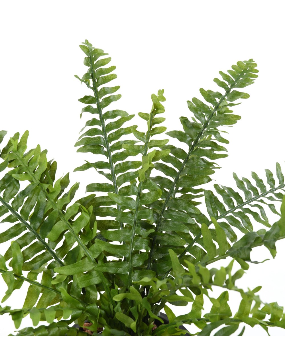 Kunstlik Boston Fern