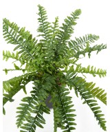 Artificial BOSTON FERN