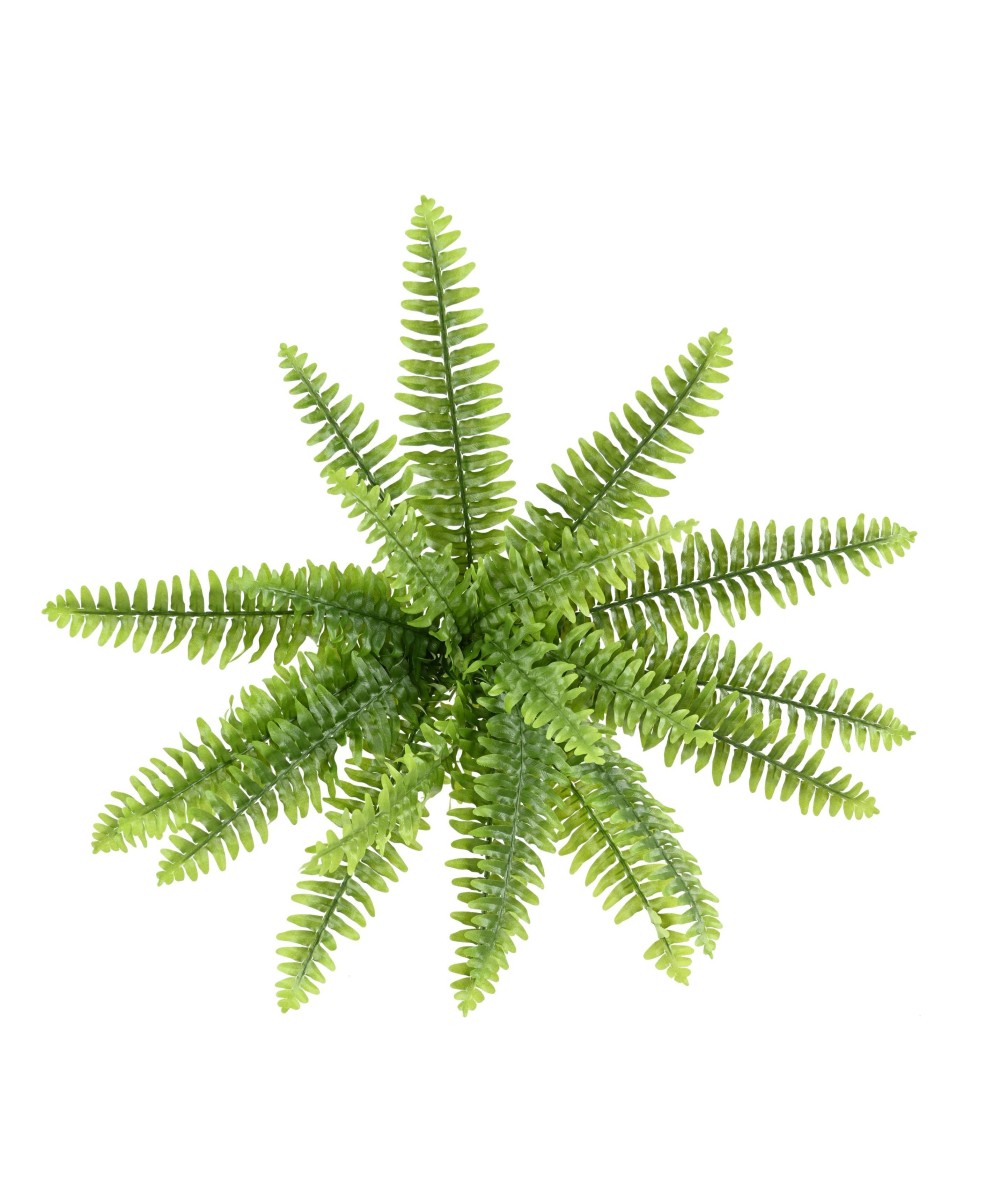 Kunstlik Boston Fern