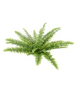 Kunstlik Boston Fern