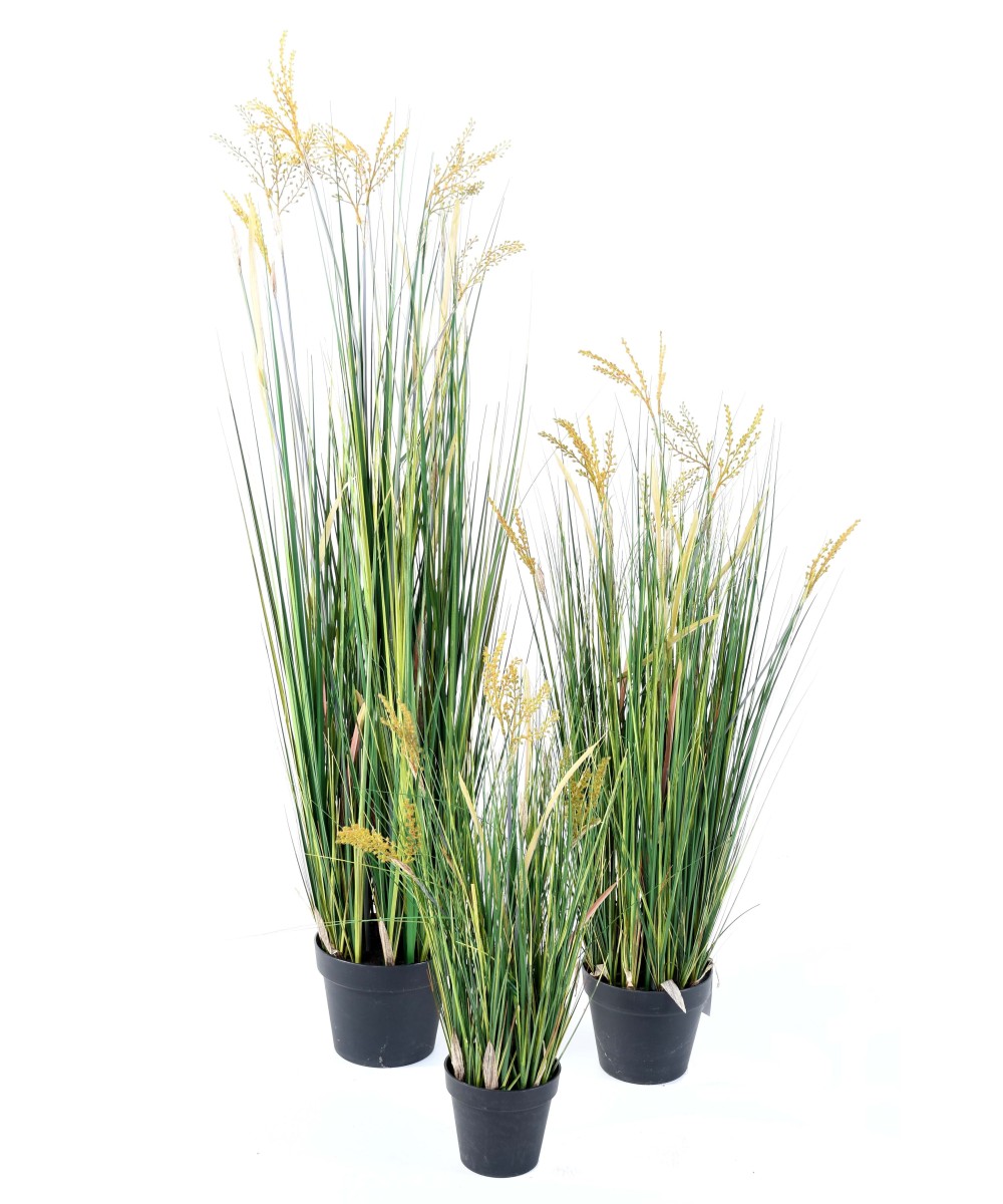 Artificial Papyrus Scirpus Validus