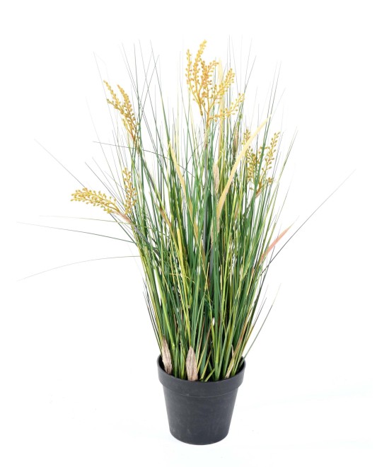 Artificial Papyrus Scirpus Validus
