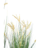 Artificial Papyrus Scirpus Validus