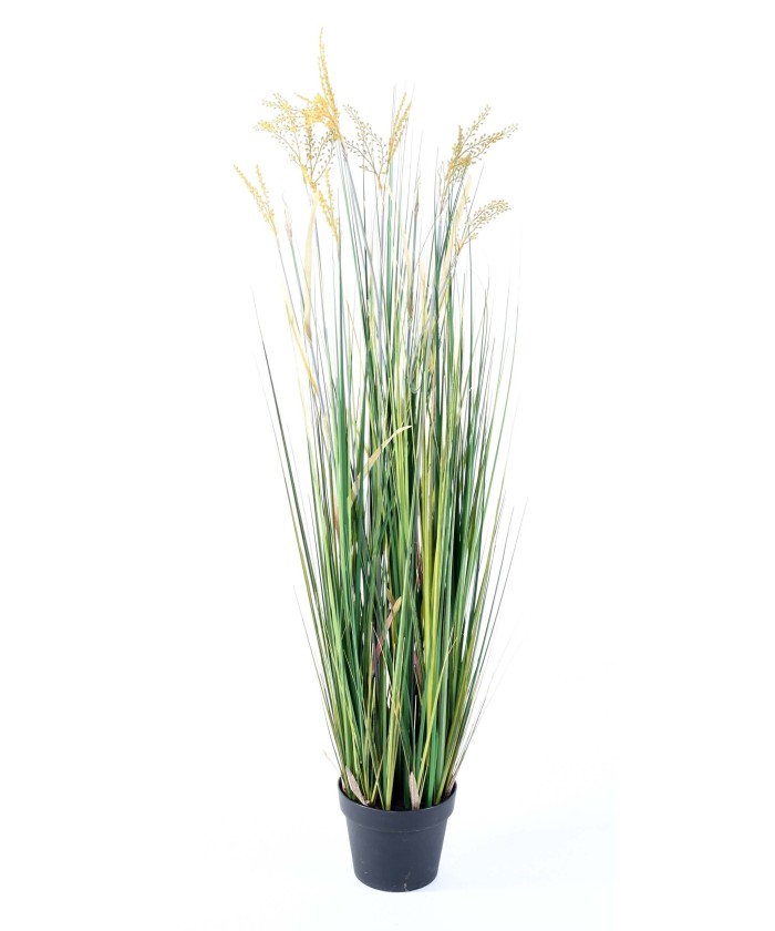 Kunstlik Papyrus Scirpus Validus