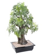Kunstlik bonsai araalia kausis