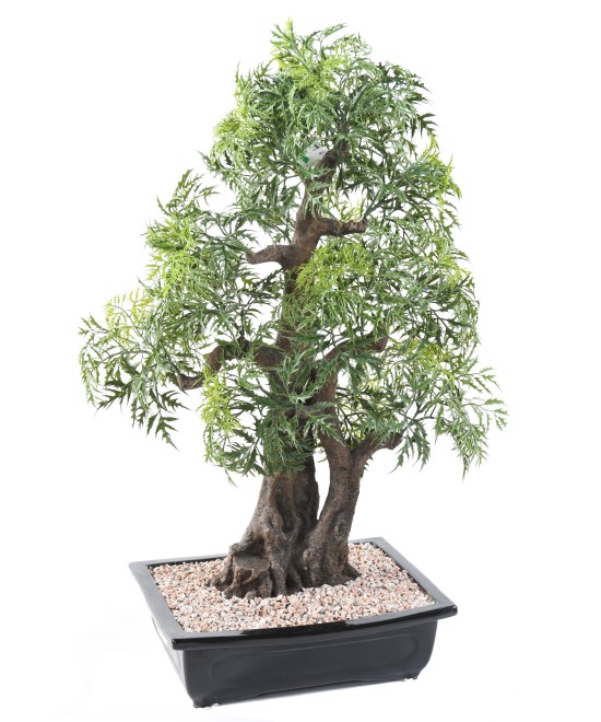 Kunstlik bonsai araalia kausis