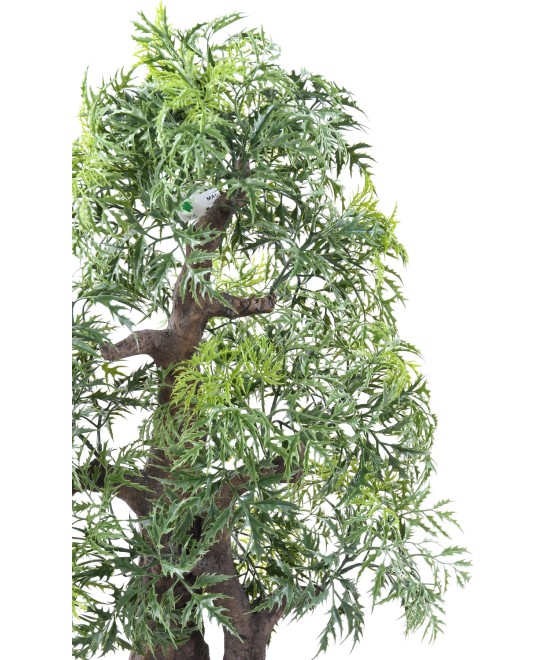 Kunstlik bonsai araalia kausis