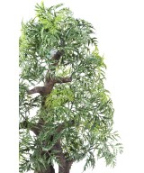 Artificial BONSAI ARALIA IN BOWL