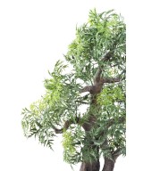 Artificial BONSAI ARALIA IN BOWL