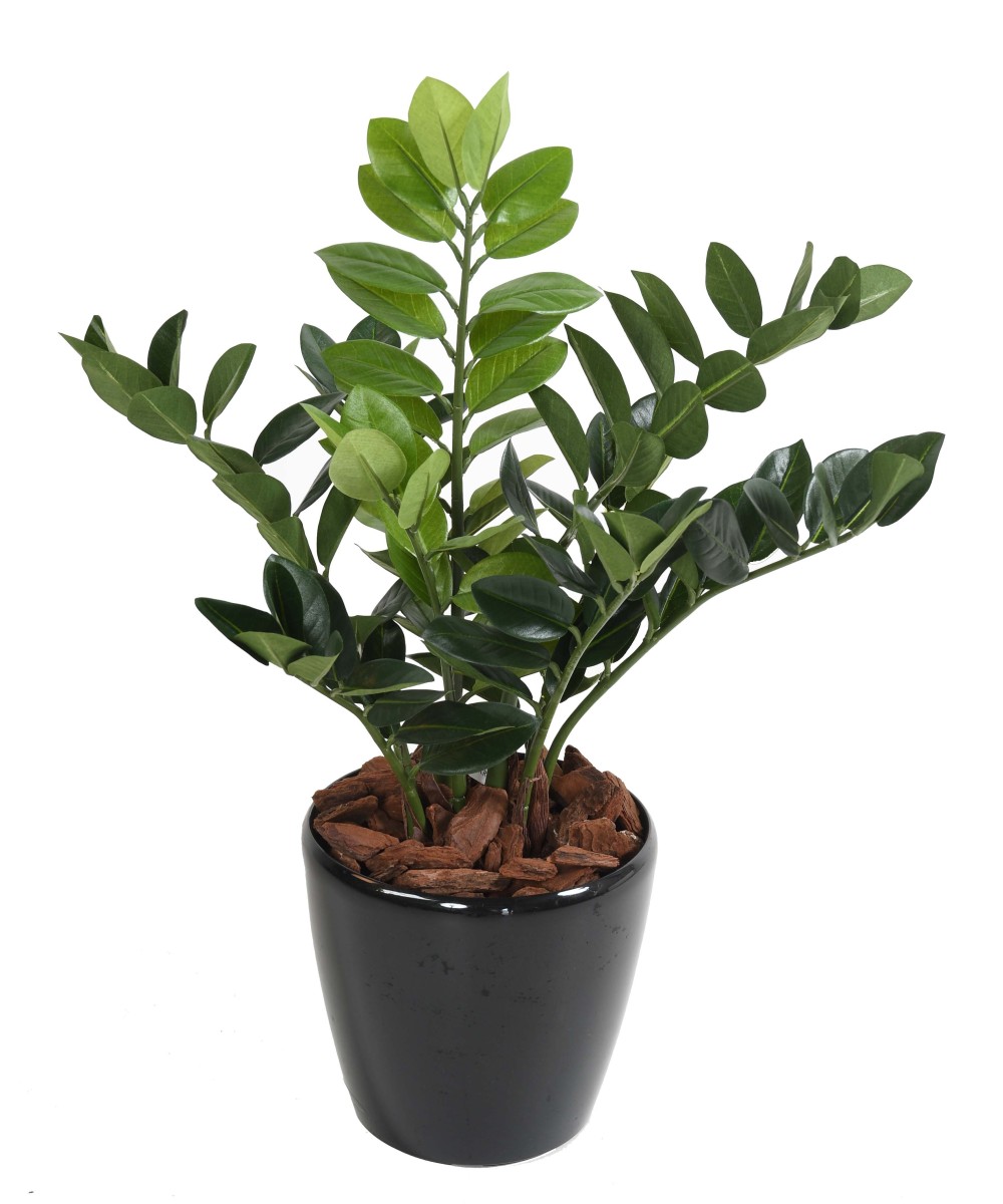 Kunstlik zamia