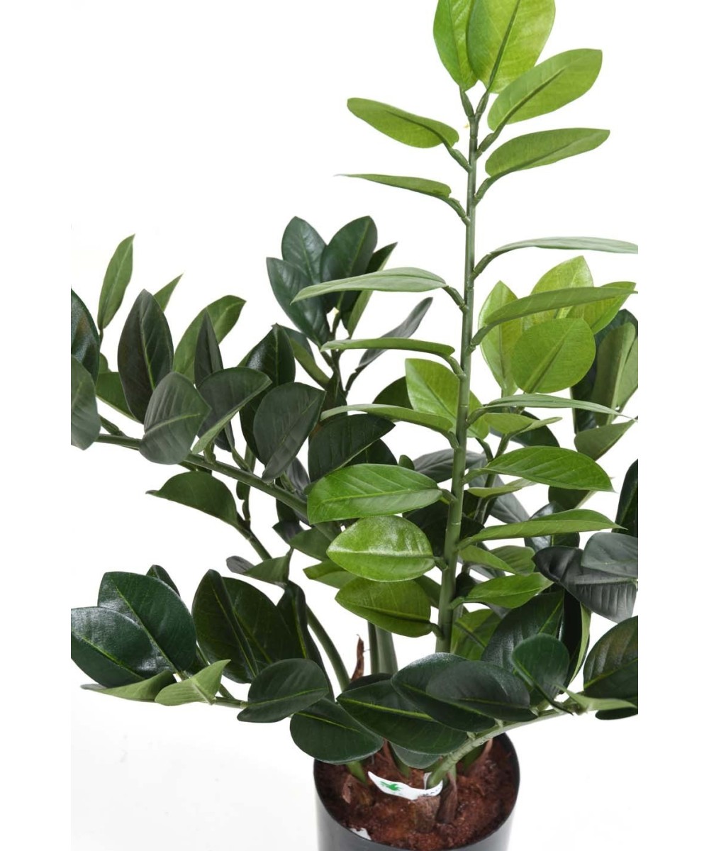 Kunstlik zamia
