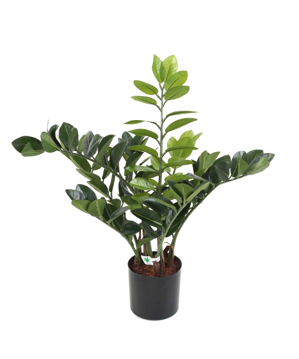 Kunstlik zamia