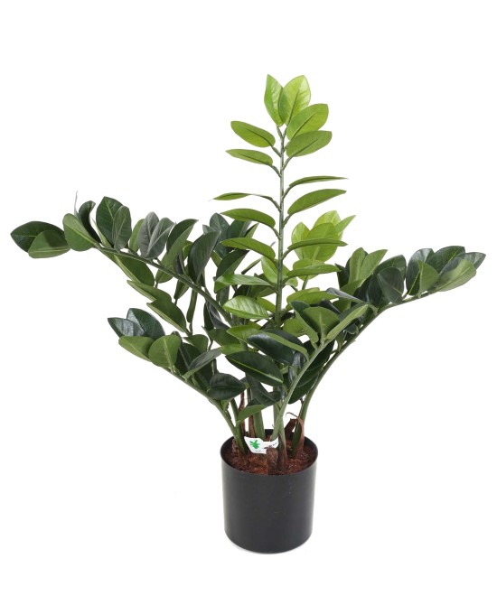 Kunstlik zamia
