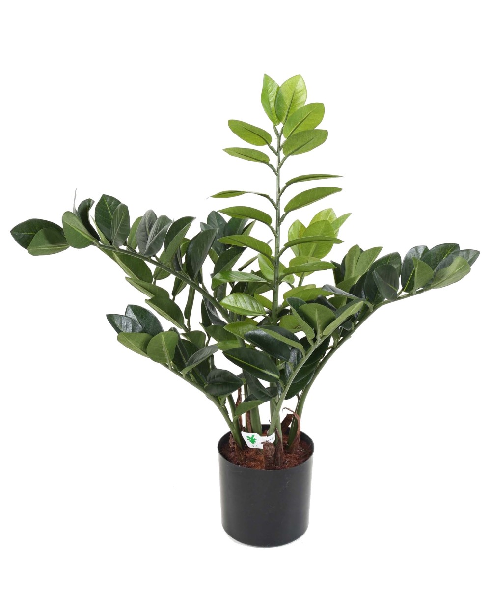 Kunstlik zamia