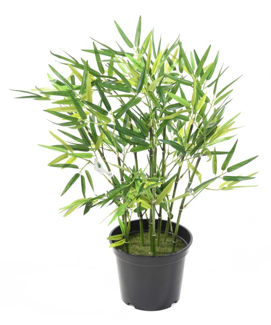 Artificial BAMBOO TV