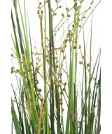 Artificial BERRY ONION GRASS