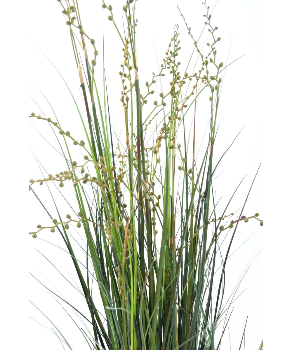Kunstlik MARJA-SIBULAROHI