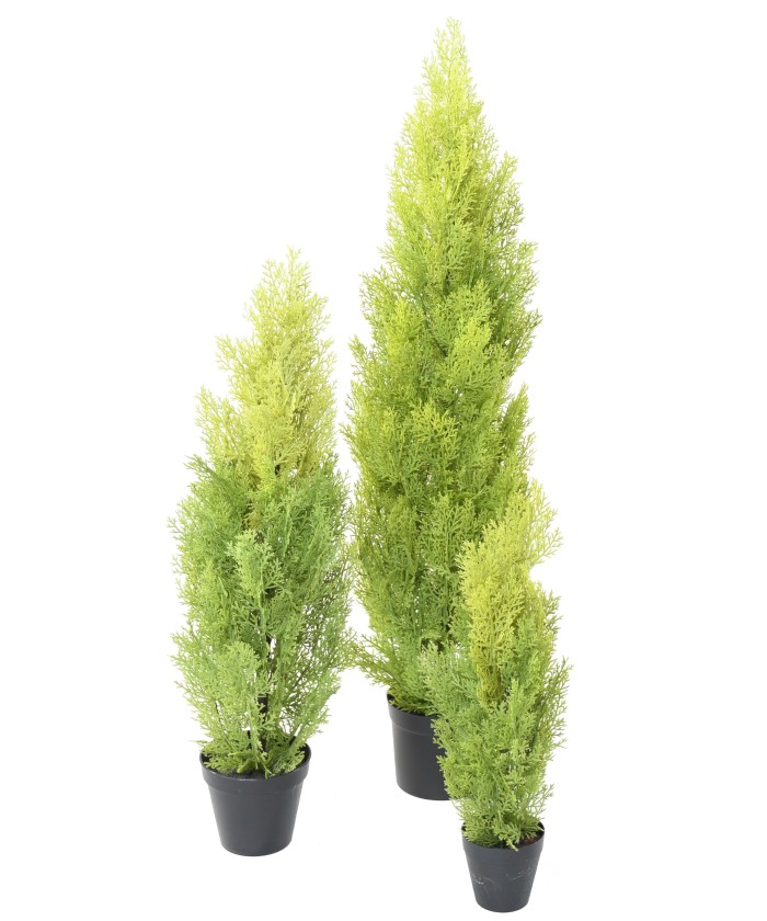 Kunstküpress (juniperus vj) MINI UUS