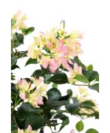 Artificial bougainvillea NEW CREEPERS