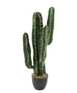 Artificial cactus CEREUS