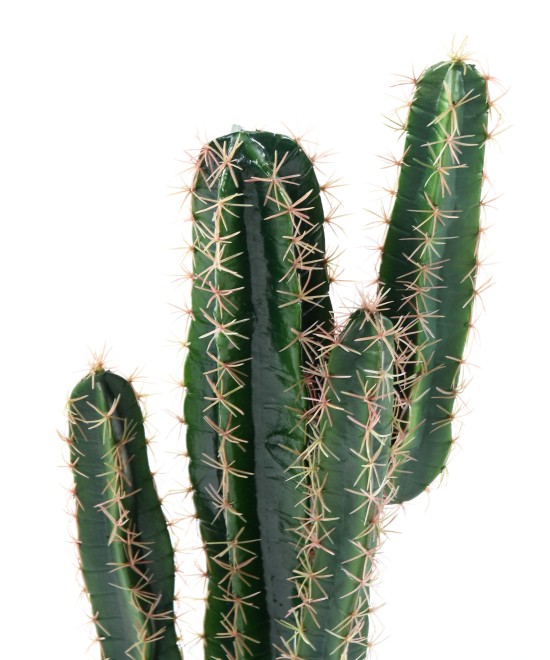 Artificial cactus CEREUS
