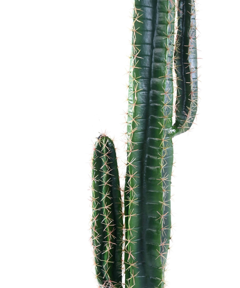 Artificial cactus CEREUS