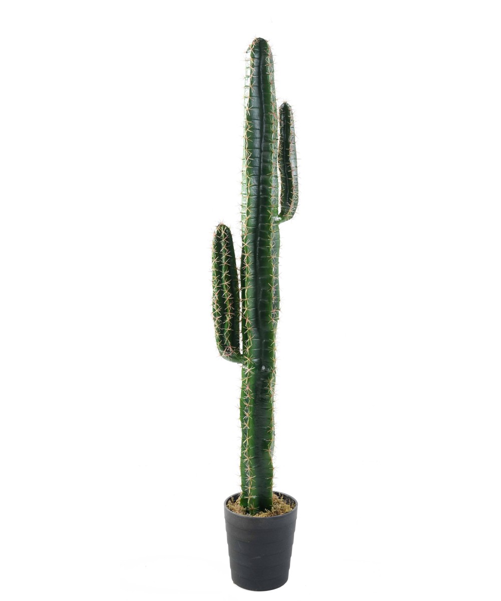 Artificial cactus CEREUS