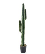 Artificial cactus CEREUS