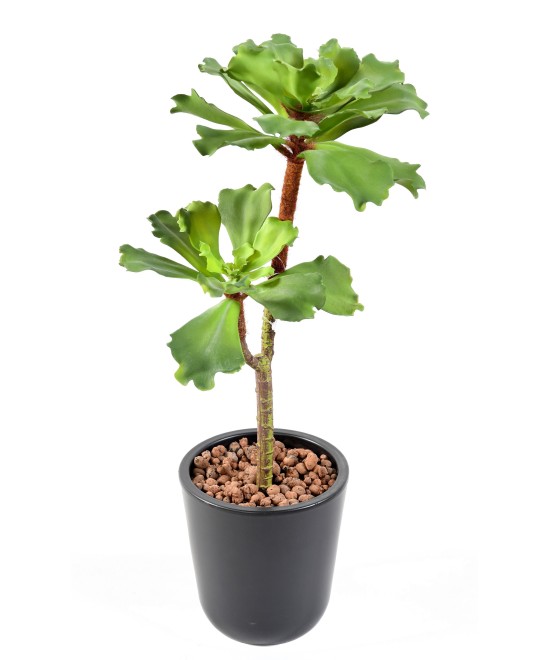 Artificial SUCCULENT *2