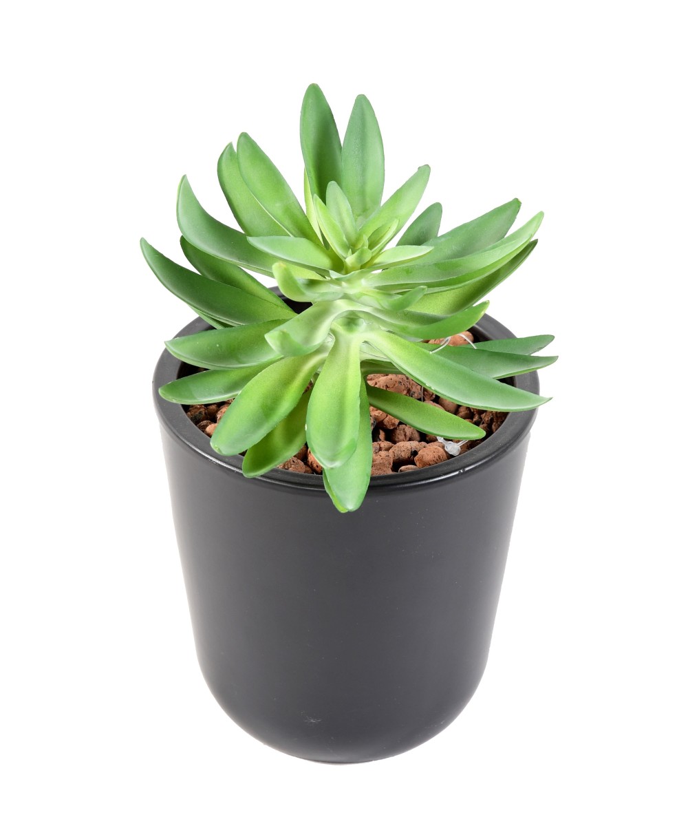 Artificial SUCCULENT 16