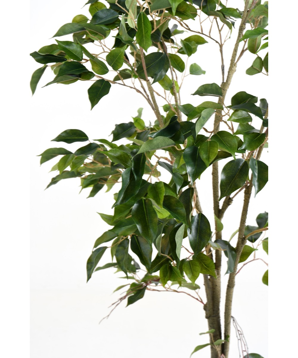 Artificial FICUS