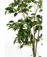 Artificial FICUS