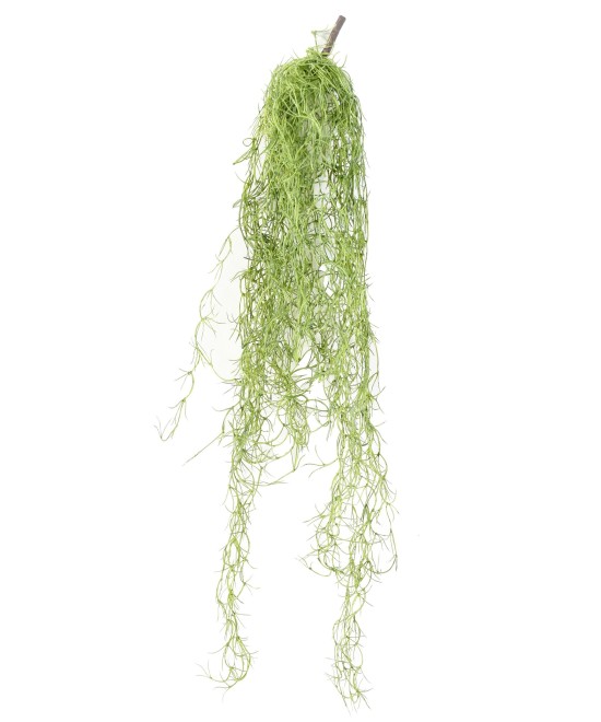 Kunstlik TILLANDSIA