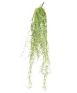 Kunstlik TILLANDSIA