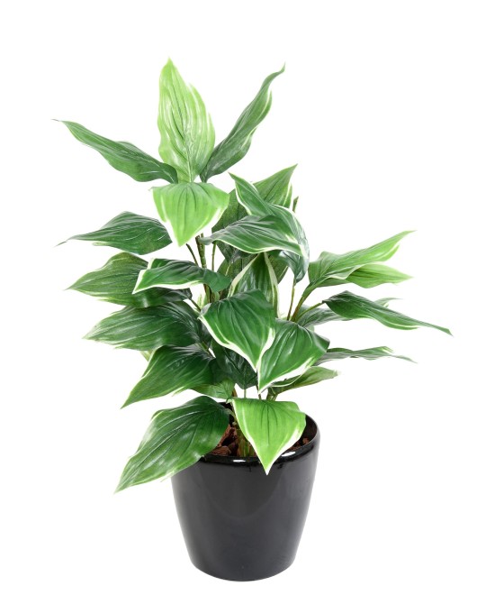 Kunstlik HOSTA *28