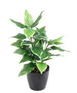 Kunstlik HOSTA *28