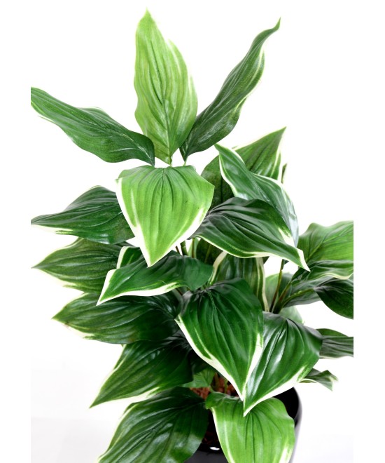 Kunstlik HOSTA *28