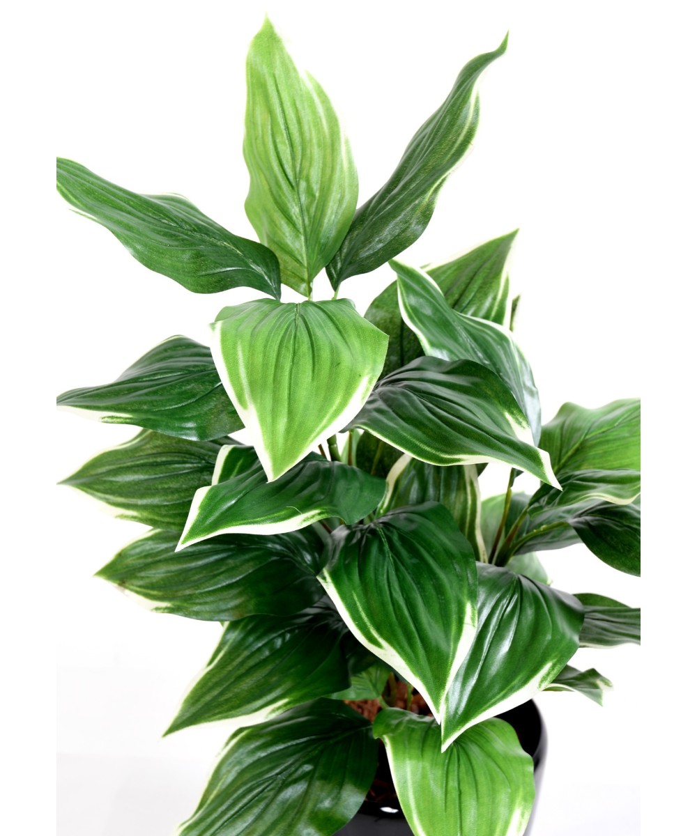 Kunstlik HOSTA *28