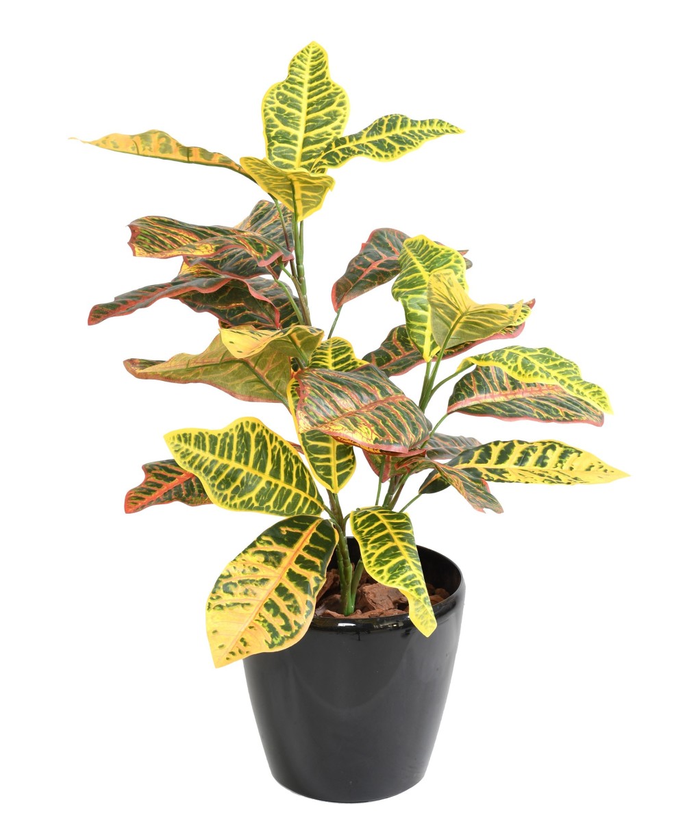 Artificial CROTON *28