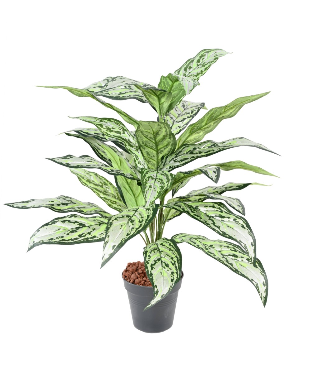 Kunstlik AGLAONEMA *28