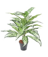 Kunstlik AGLAONEMA *28